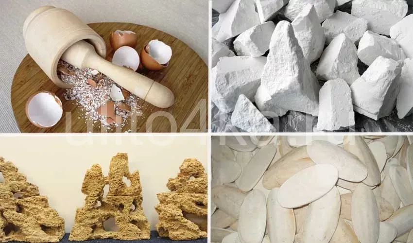 Мы прямо цельные брусочки кальция и оставляем, которые справа. Можно ещё и скорлупу яичную дать, то с ней больше ебели (порежется там и т.д). Можно ещё в корм прикорм кальция досыпать, но тут же опять ебель, так как он слишком много влаги может с еды забрать.