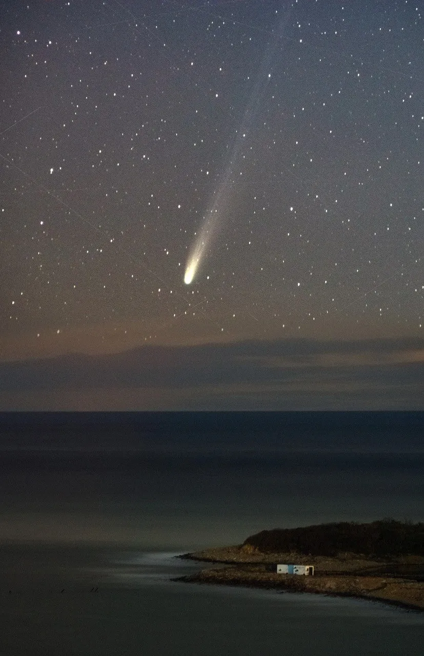 Информация: Tateshi