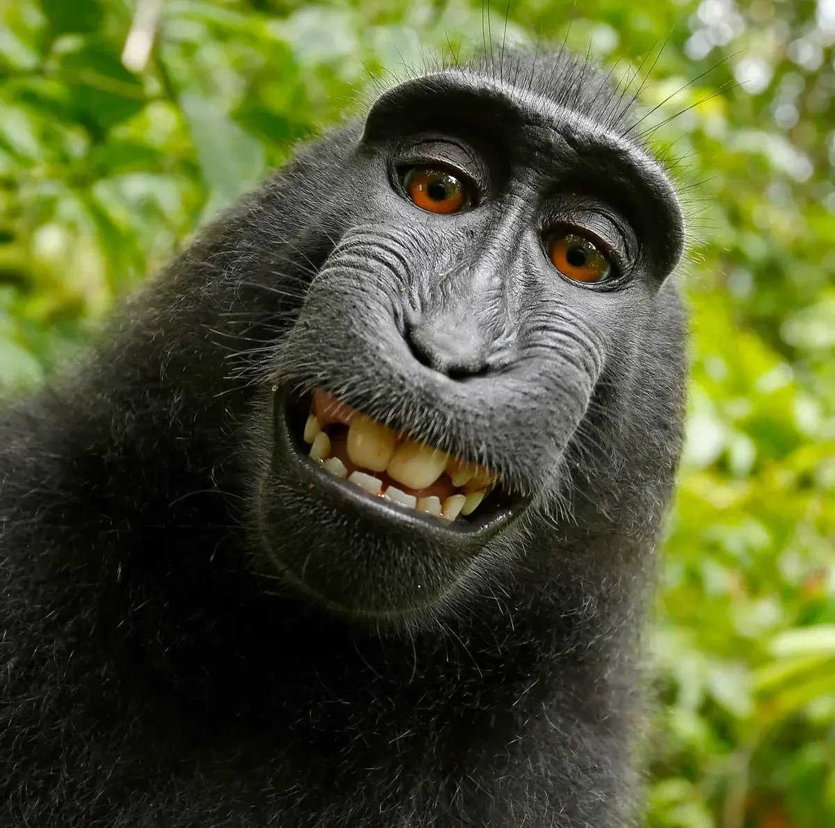 То самое селфи