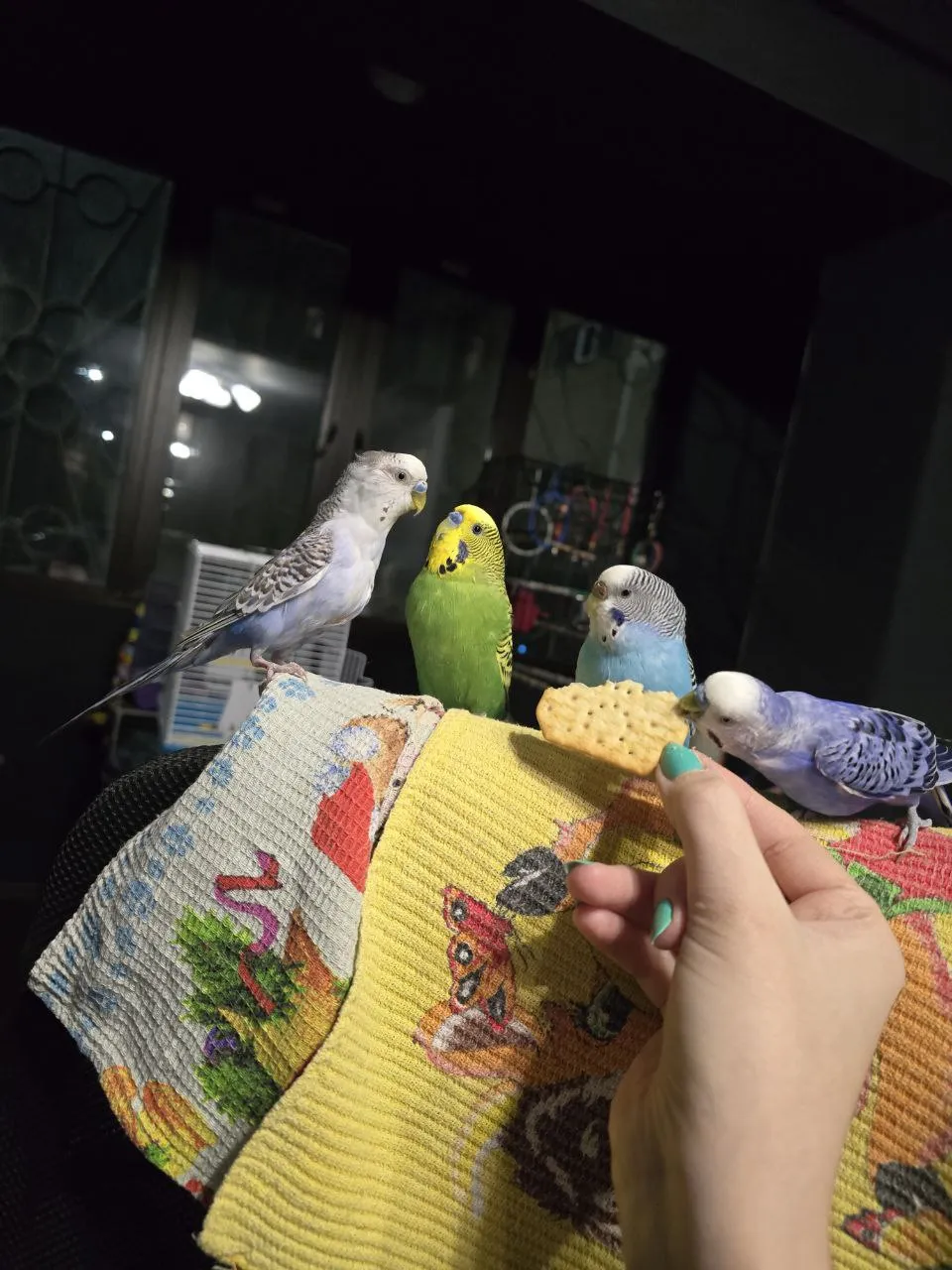 С ним осмелели и остальные