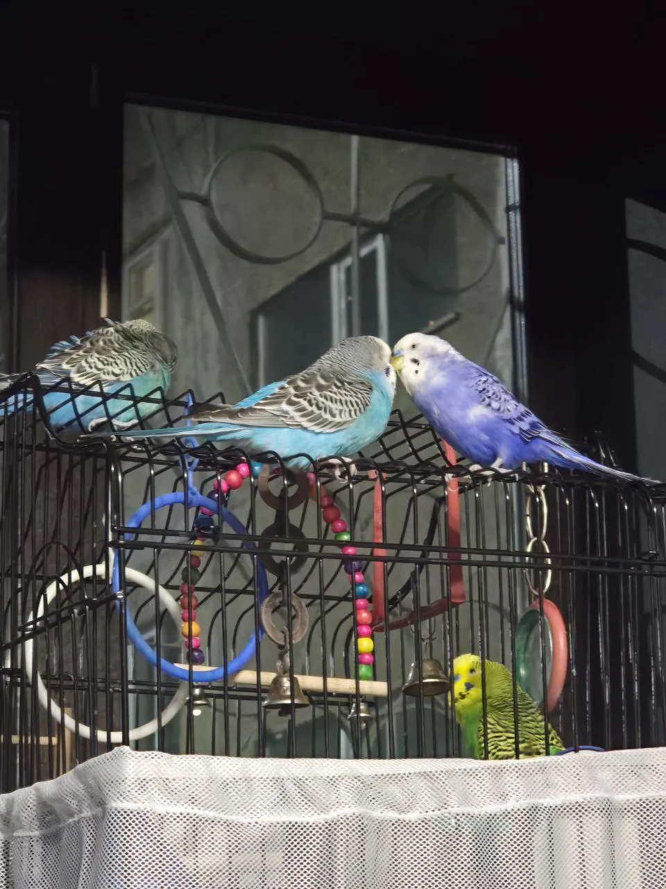 А тут муж куколдит. Он и не против, у него же есть лесенка...