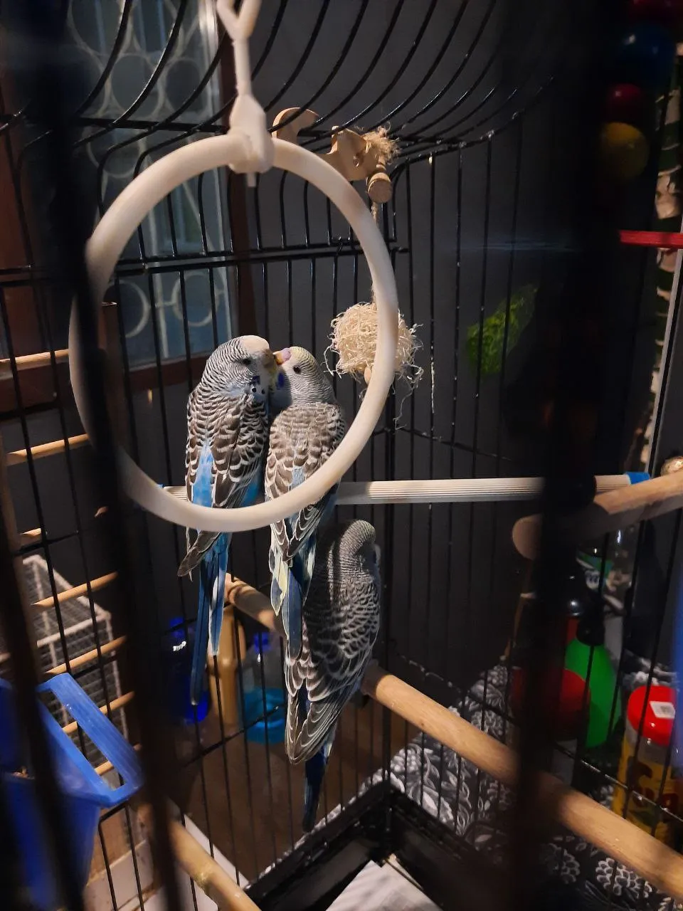 Нежности с мамой :)