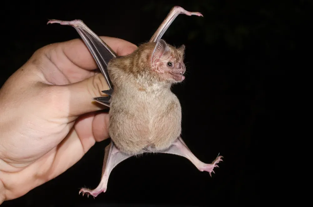 ну милаха жеж ппц))))