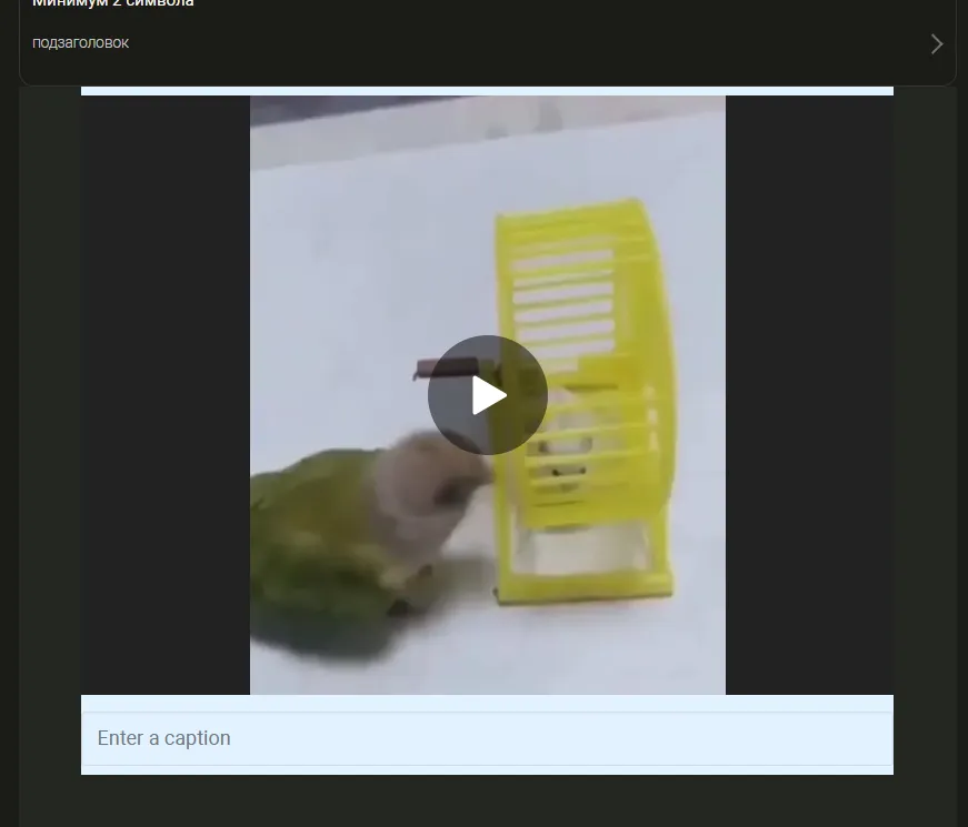 и она шпёхнулась видосом)