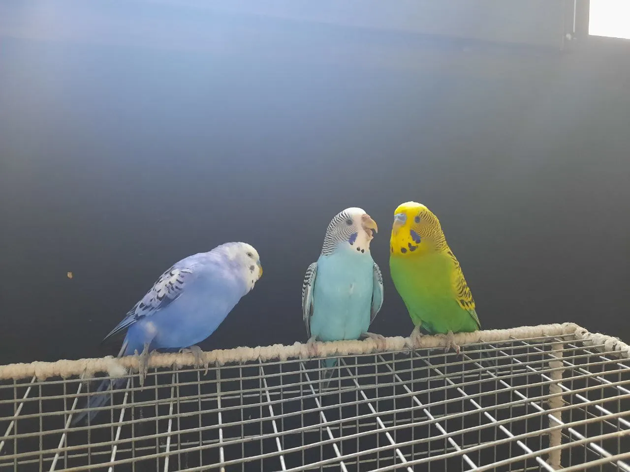 Он должен быть рядом. Просто обязан