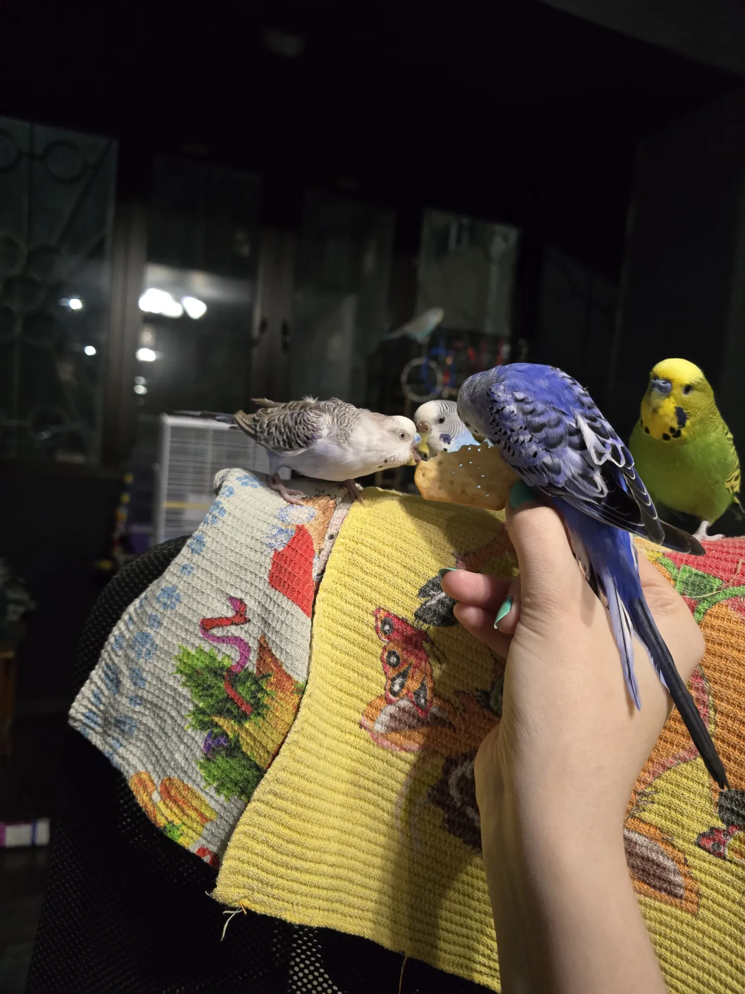 Полотенчики тут по всей хате от внезапных обстрелов, ага