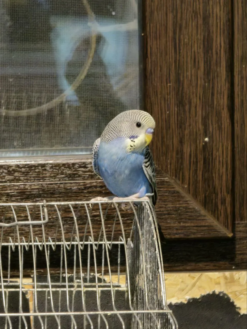 Ушёл от всего кипиша и бдит