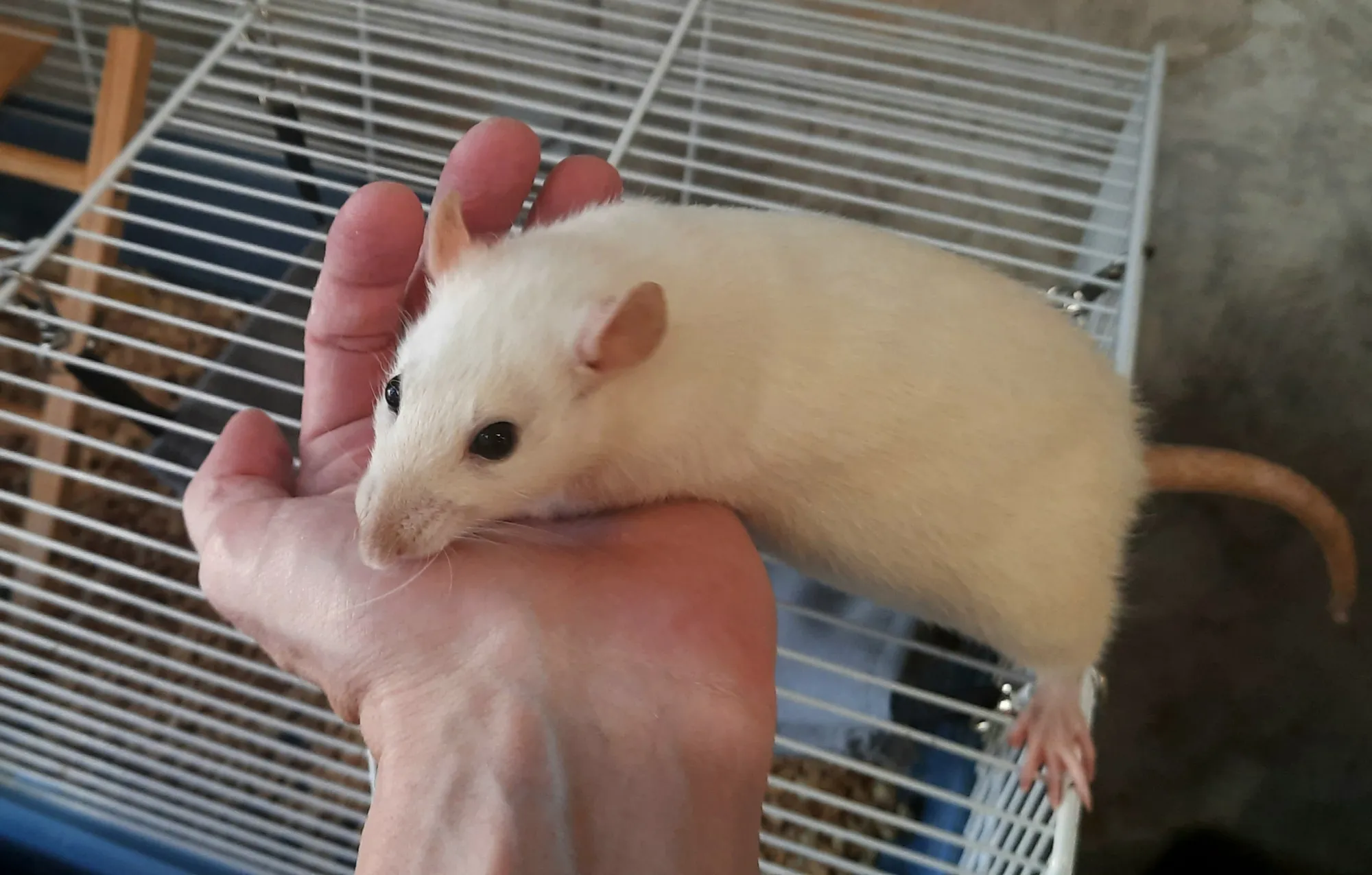 Благодарные обнимашки