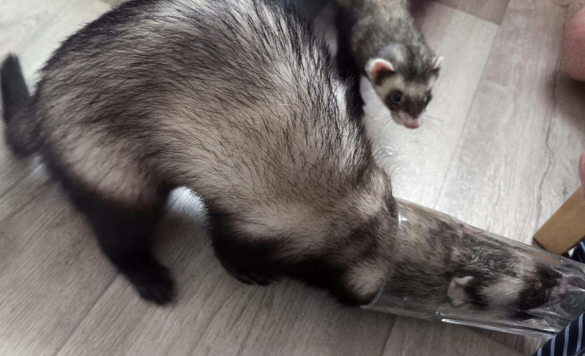 А что это у вас в стакане?