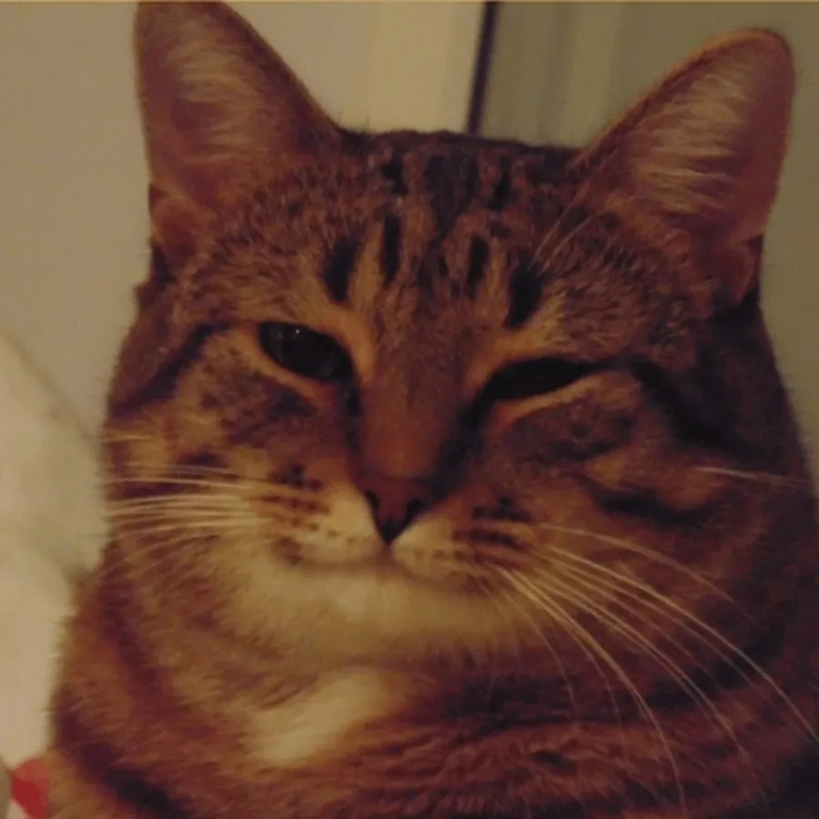 И пельмени!