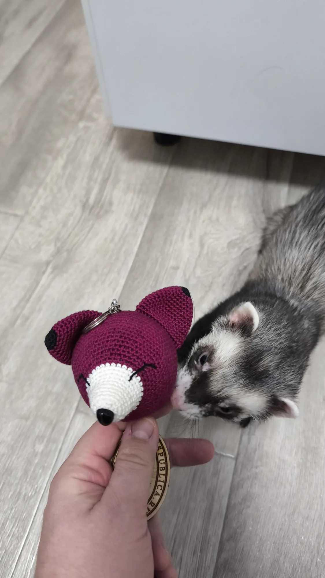 Смотри, чего есть