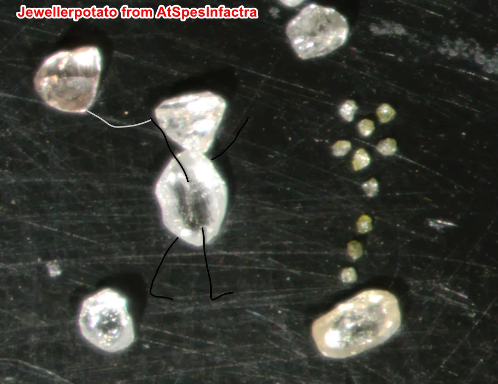 Долго думал кому подарить, на тебе Картошка открытку самобытную... Это все натуралка, правда мелкая...