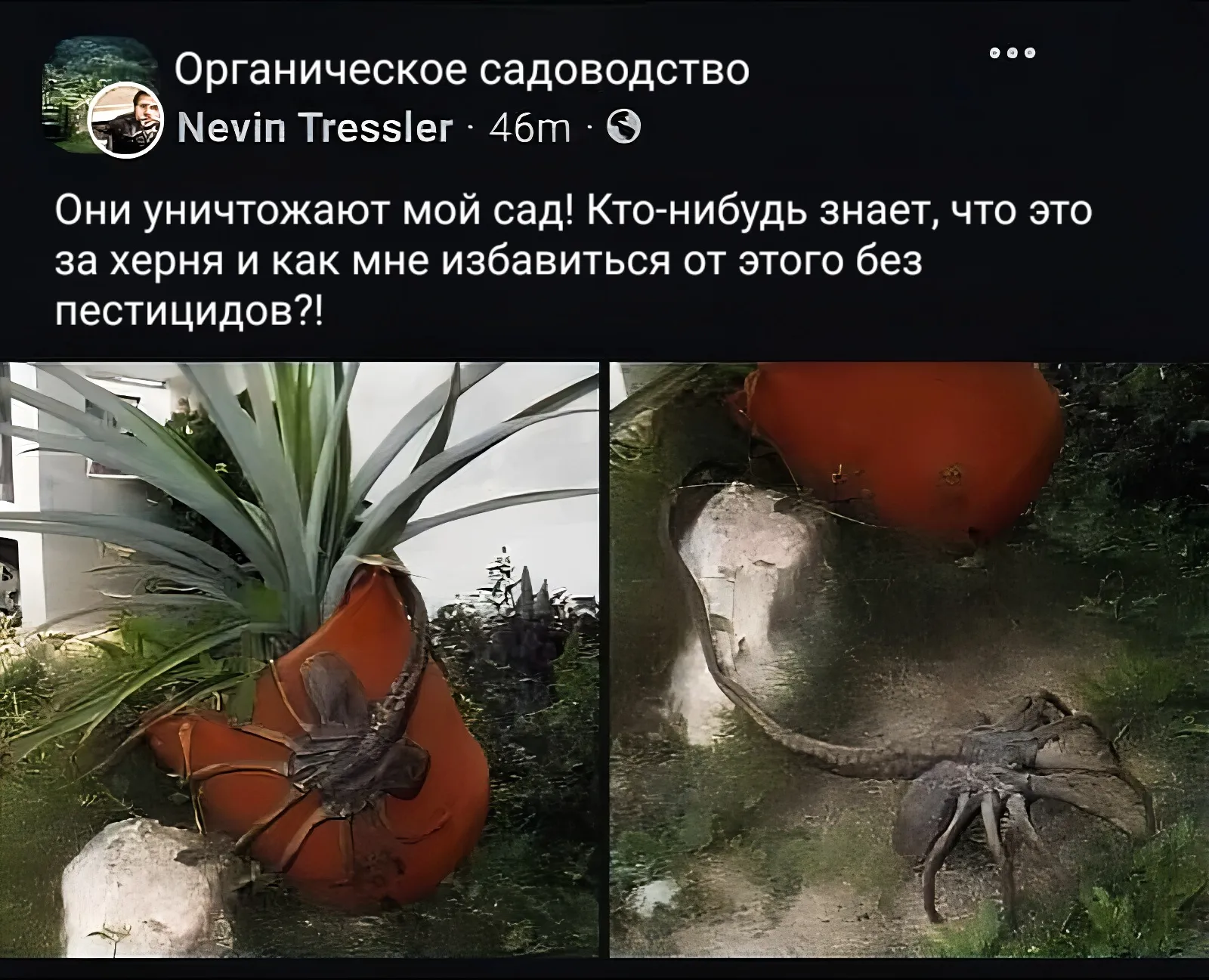 С юморком чувак