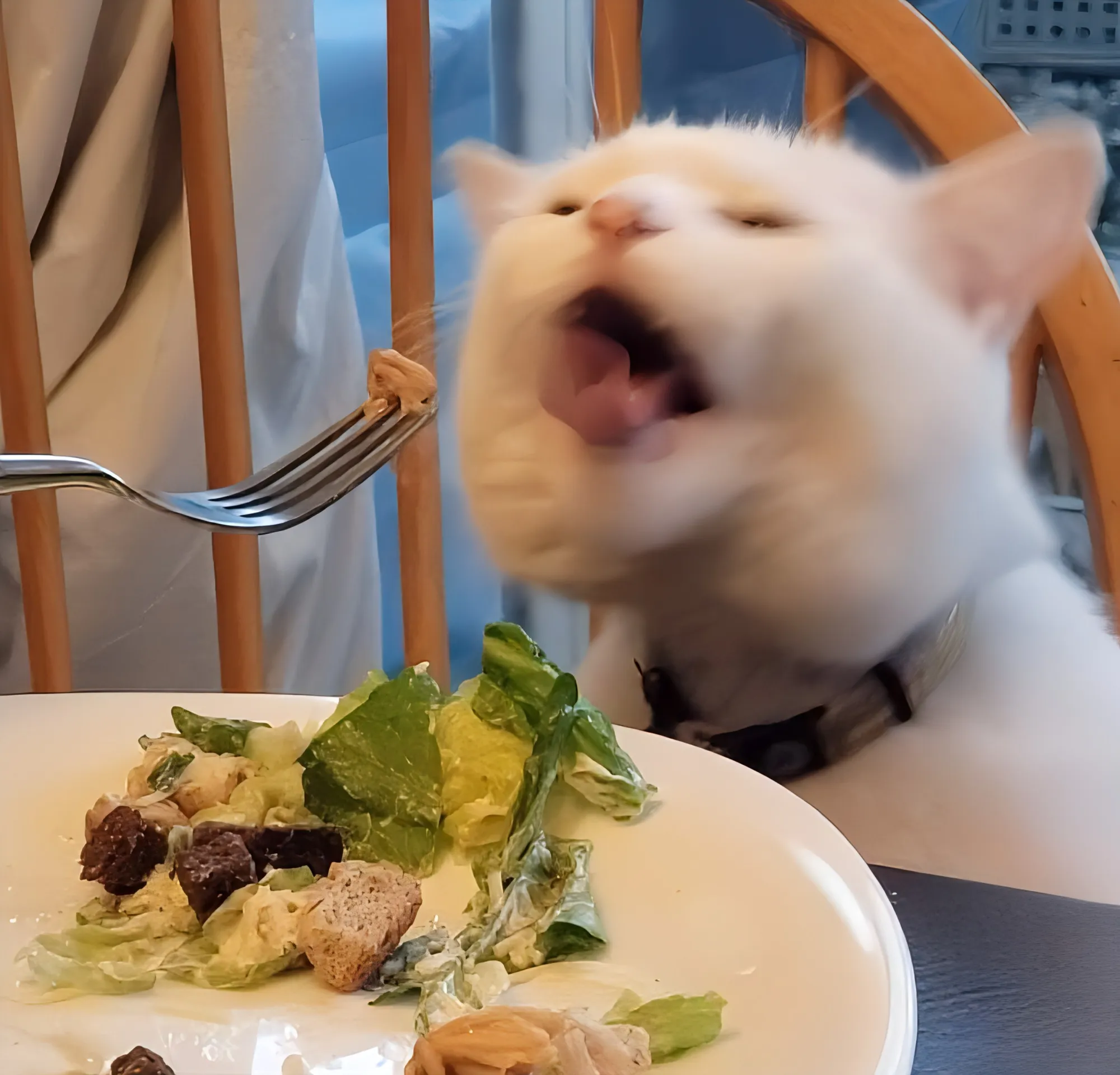 Чего-то жрет, на овощи не похоже