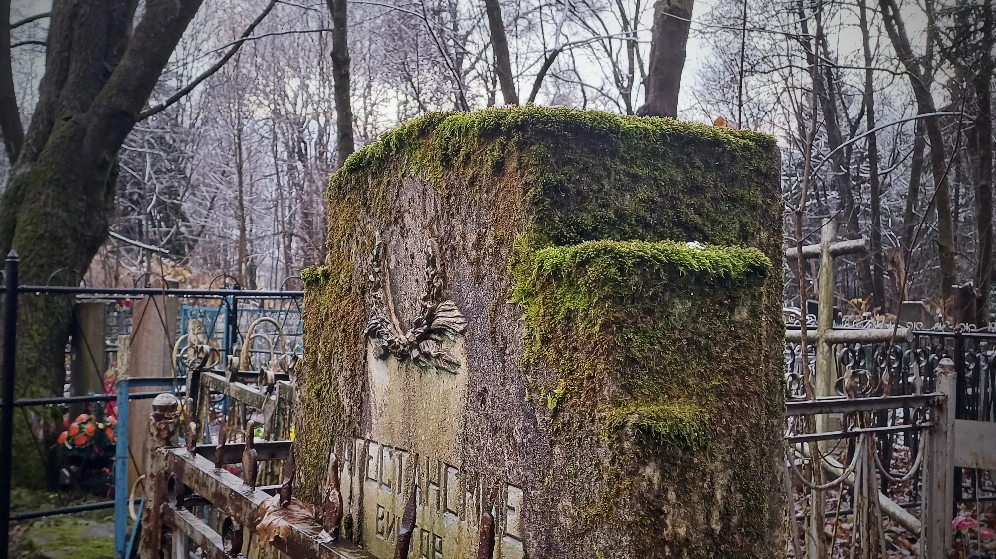 Замшелый камень смотрится красиво, если честно
