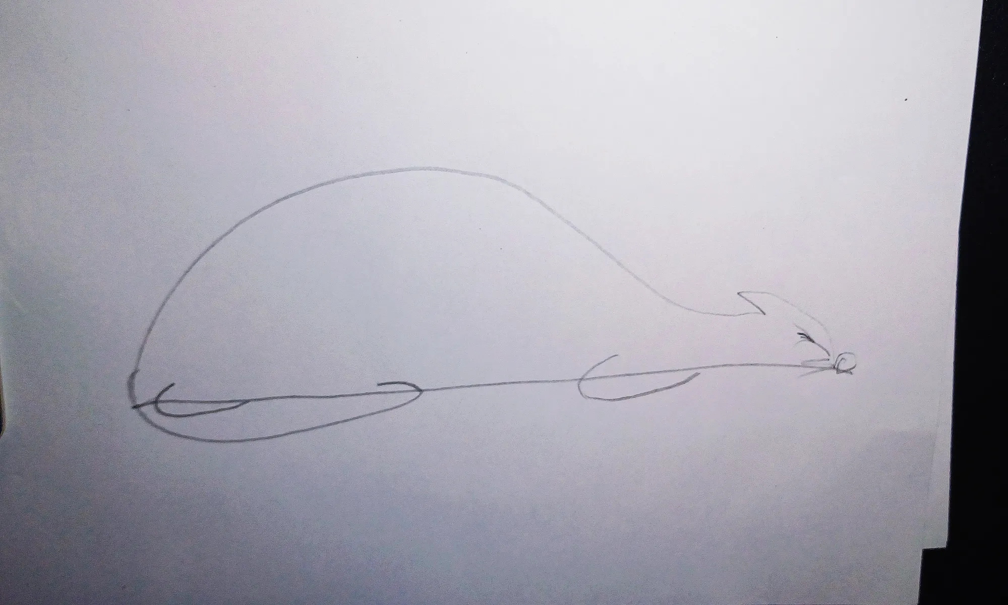 Теперь +лапы