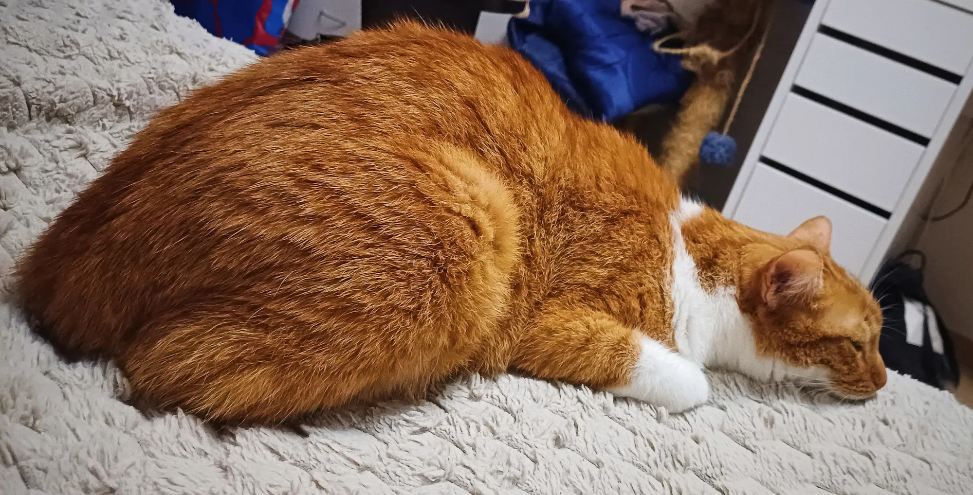 Нарисуй меня как одну из своих французских женщин&nbsp;