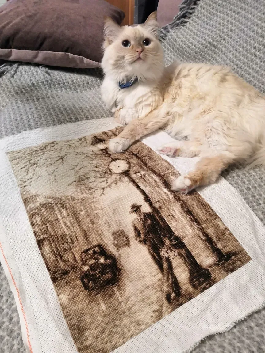 Этого мужчину заценила и моя свекровь и тоже себе такого вышила)