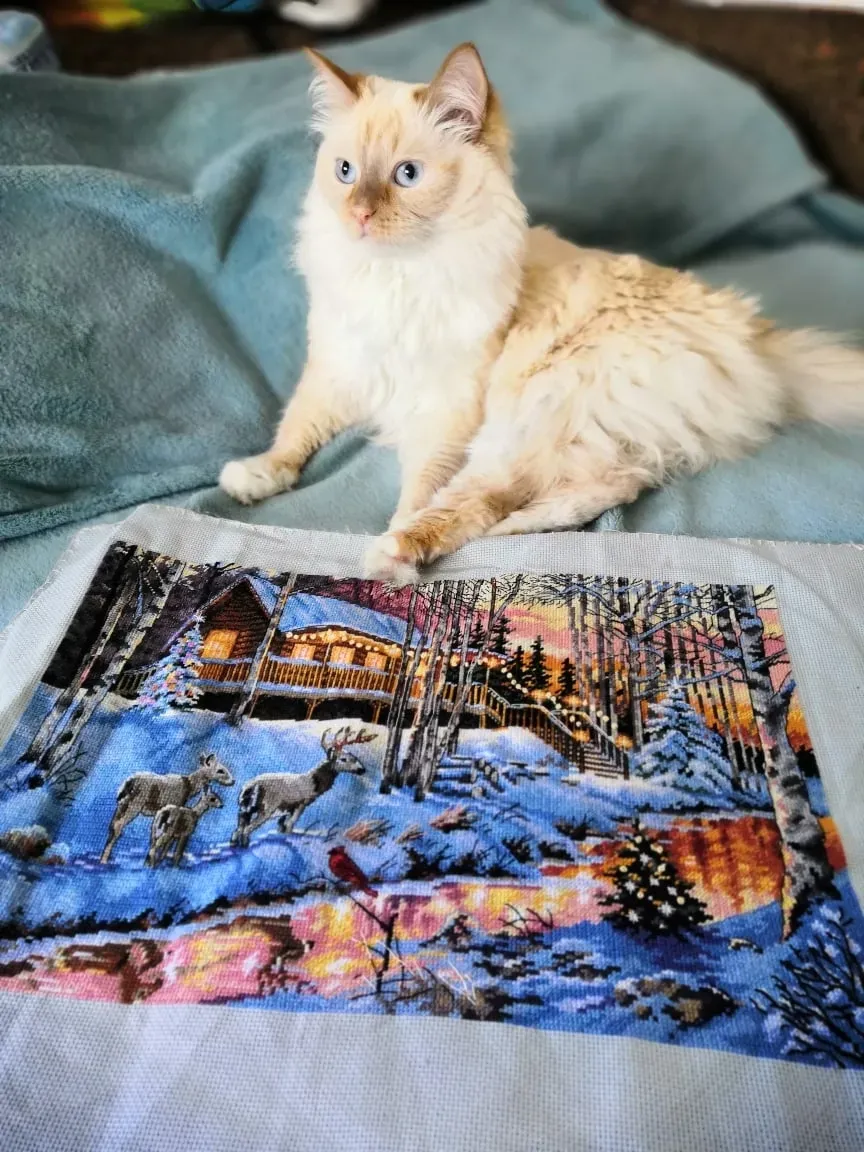 Вот эту вышивку у меня купили не торгуясь на авито за 3500) первая и последняя ,которая ушла просто без торга. Обычно просят сделать скидку)