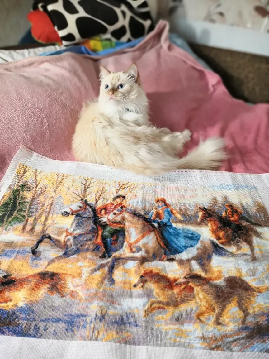 Моя любимая вышивка"Русская охота". Люблю фотографировать готовую работу со своей кошкой Варей)