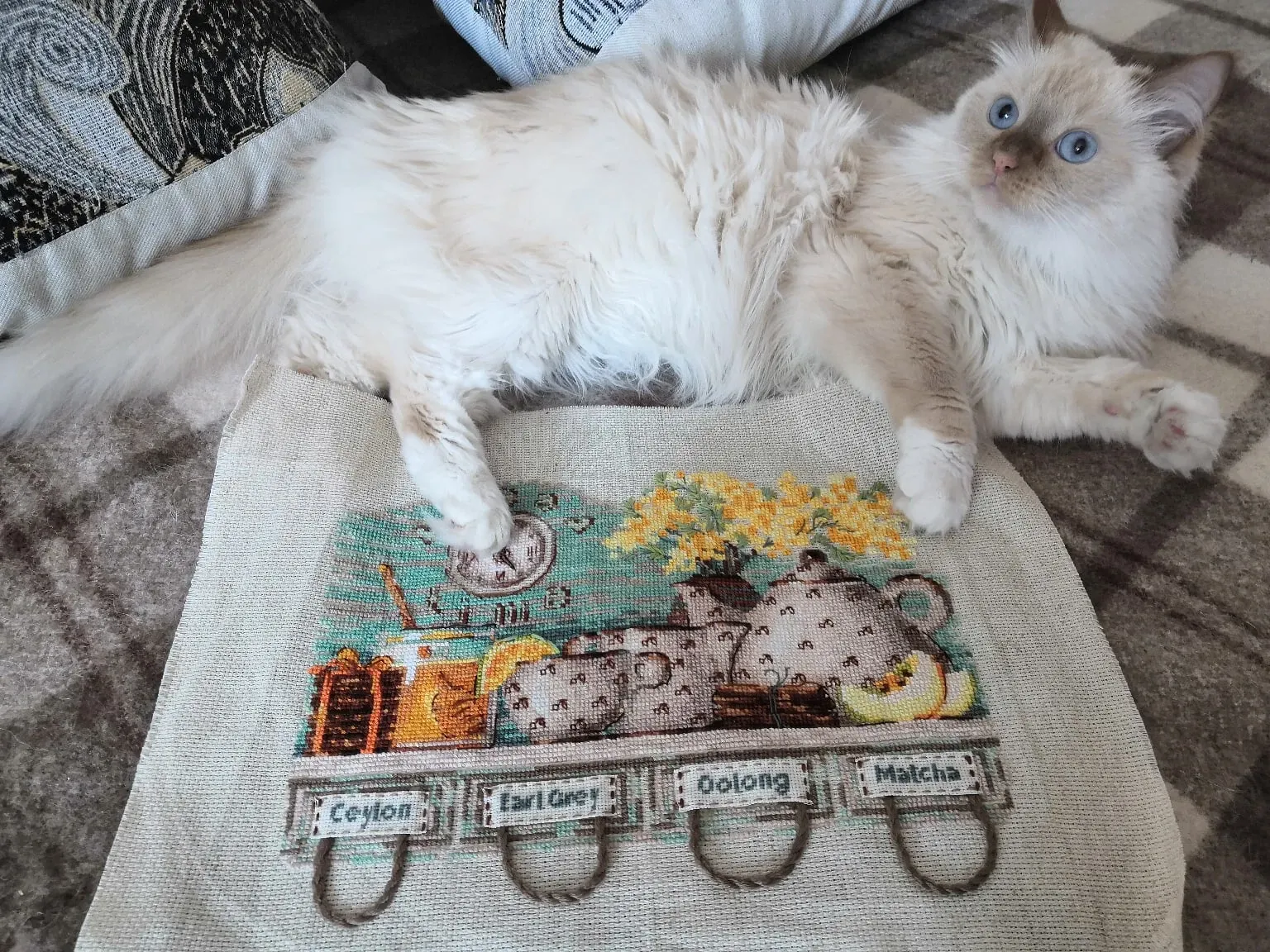 На кухне оформленная висит