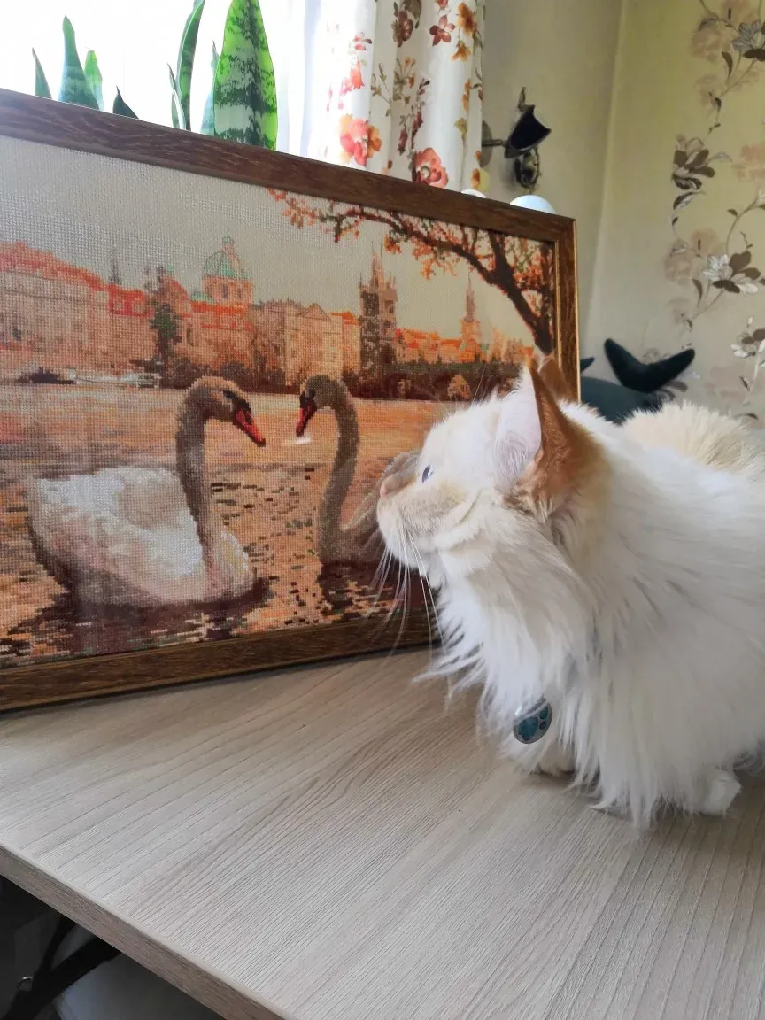 Это бабушке)