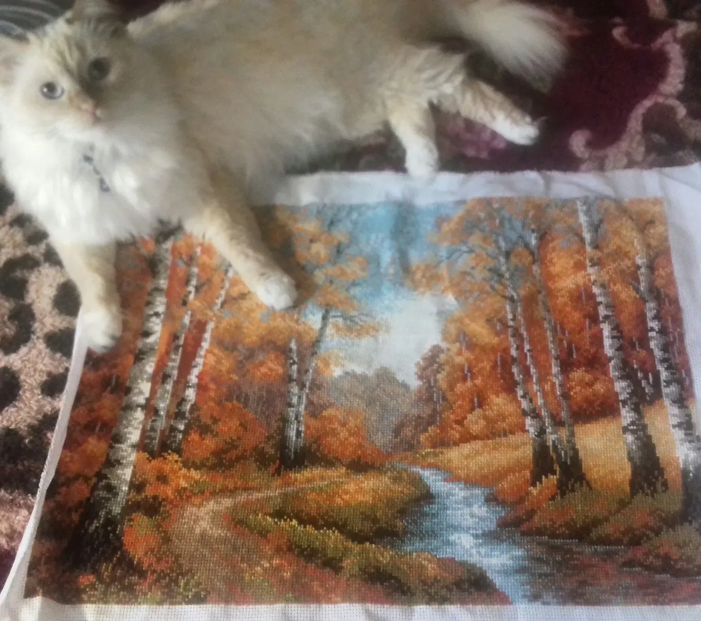 Фото старое, 2018 года, качество не очень было у моего телефона, но ради Варюши выложила и его) хотя сама работа лежит в шкафу, можно будет как-нибудь сделать и качественное фото