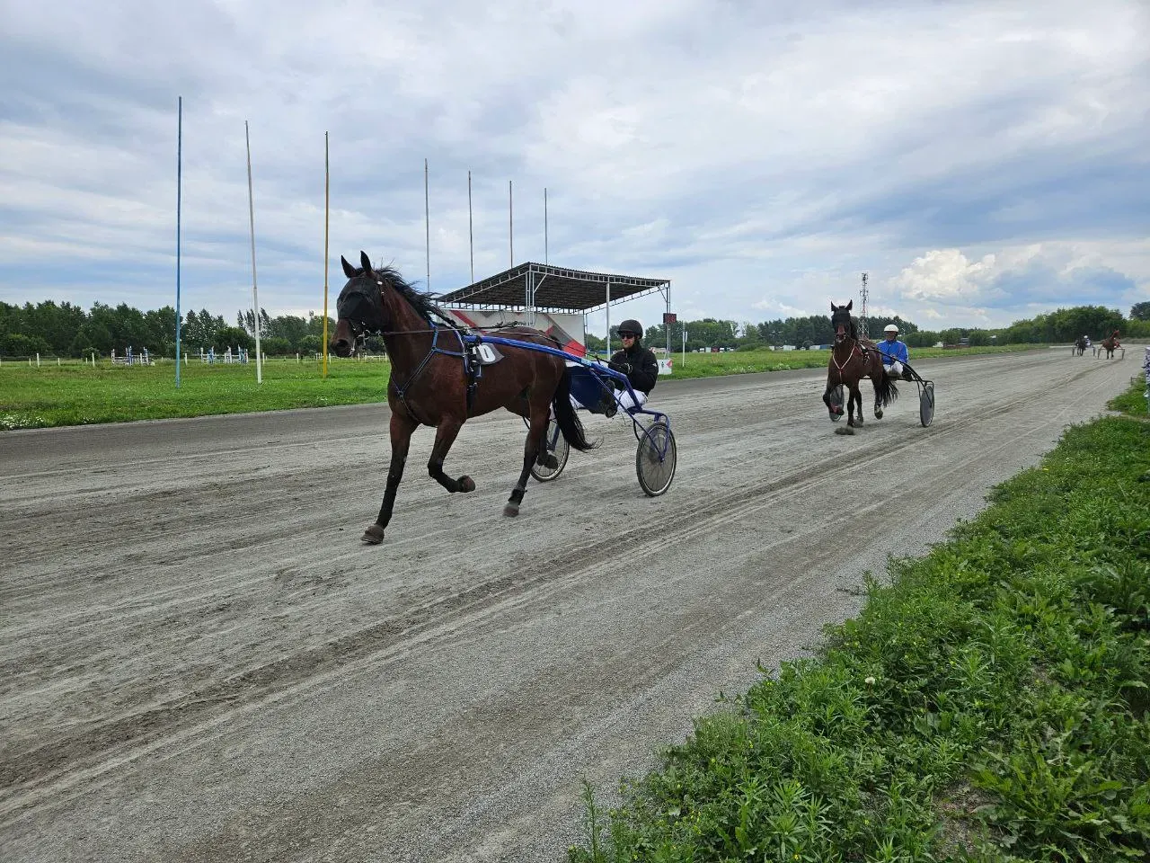 ... не давая им даже полюбоваться собой! Спасибо, фотики изобрели!