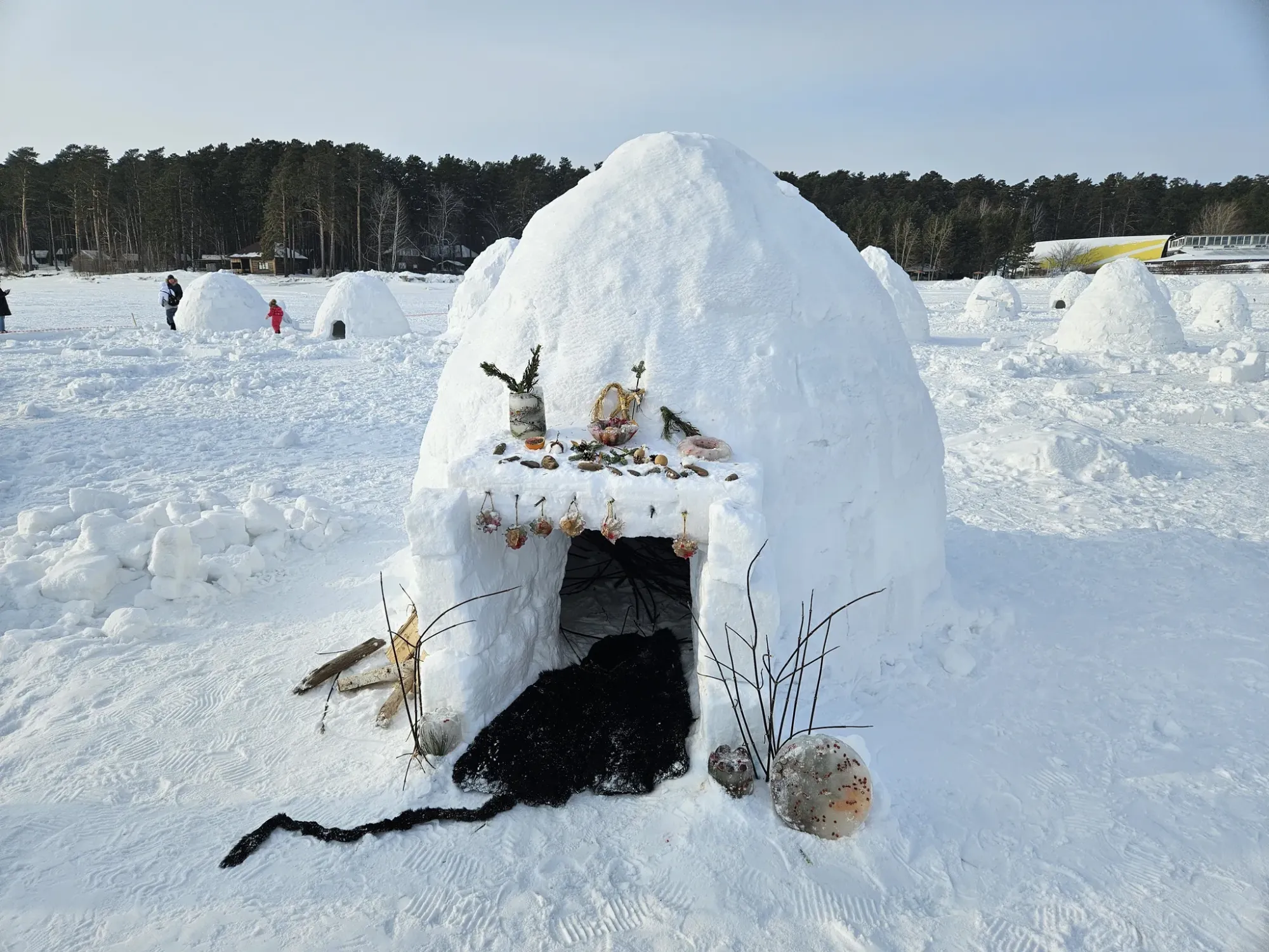 На просмотр этого варианта рекомендую записываться заранее, у него отбою нет от желающих посмотреть и сфотографироваться! Я с трудом сумел уложить его в фотосессию )