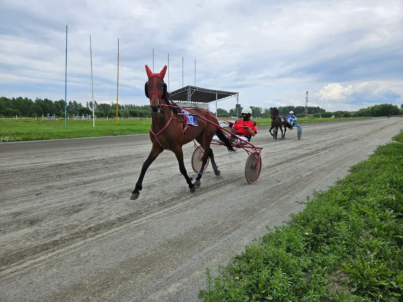 Я не дьявол, просто рожки прикольные!