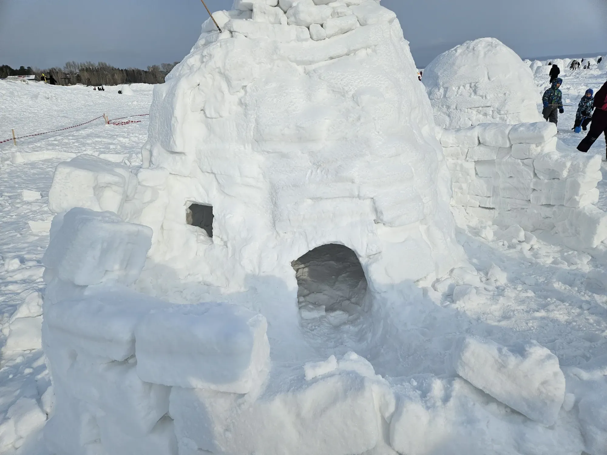А может вам интересен вариант с собственным двором? Чтобы чувствовать себя как за каменными... эээ... снежными стенами!