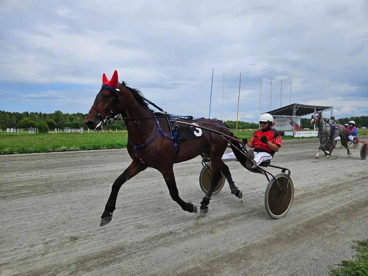 Там выше это не я или я?