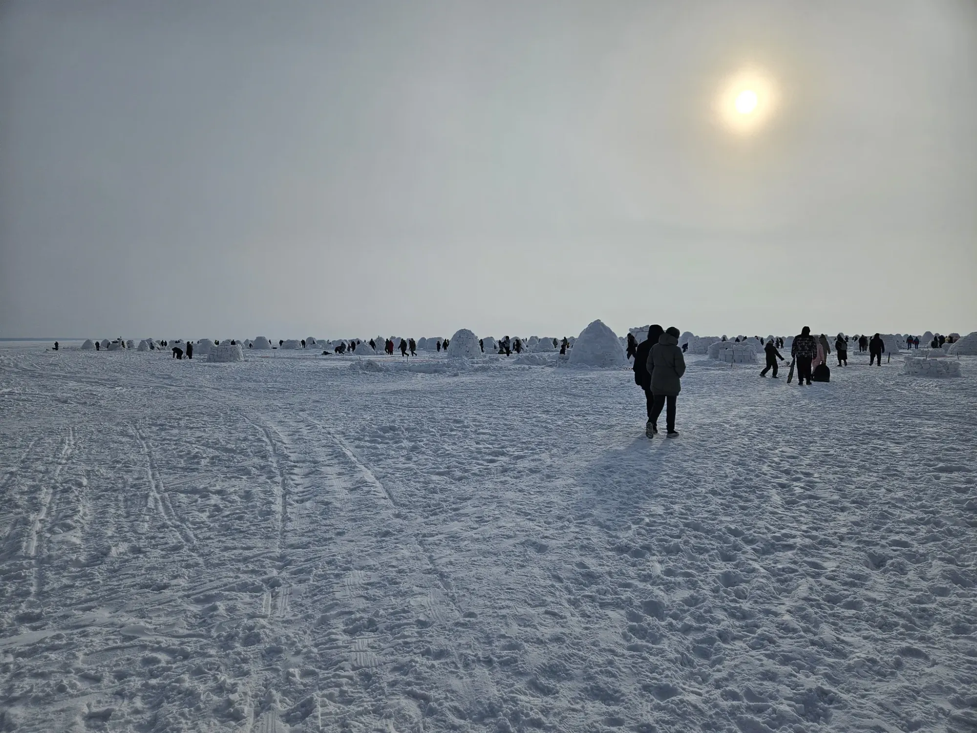 Вид на иглодеревеньку, навскидку там штук 500 построили...