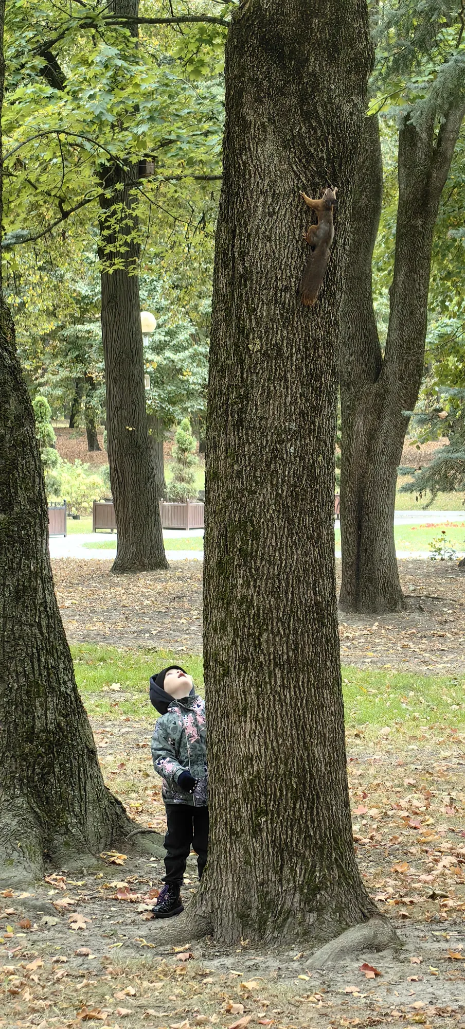 Догнать её так и не удалось