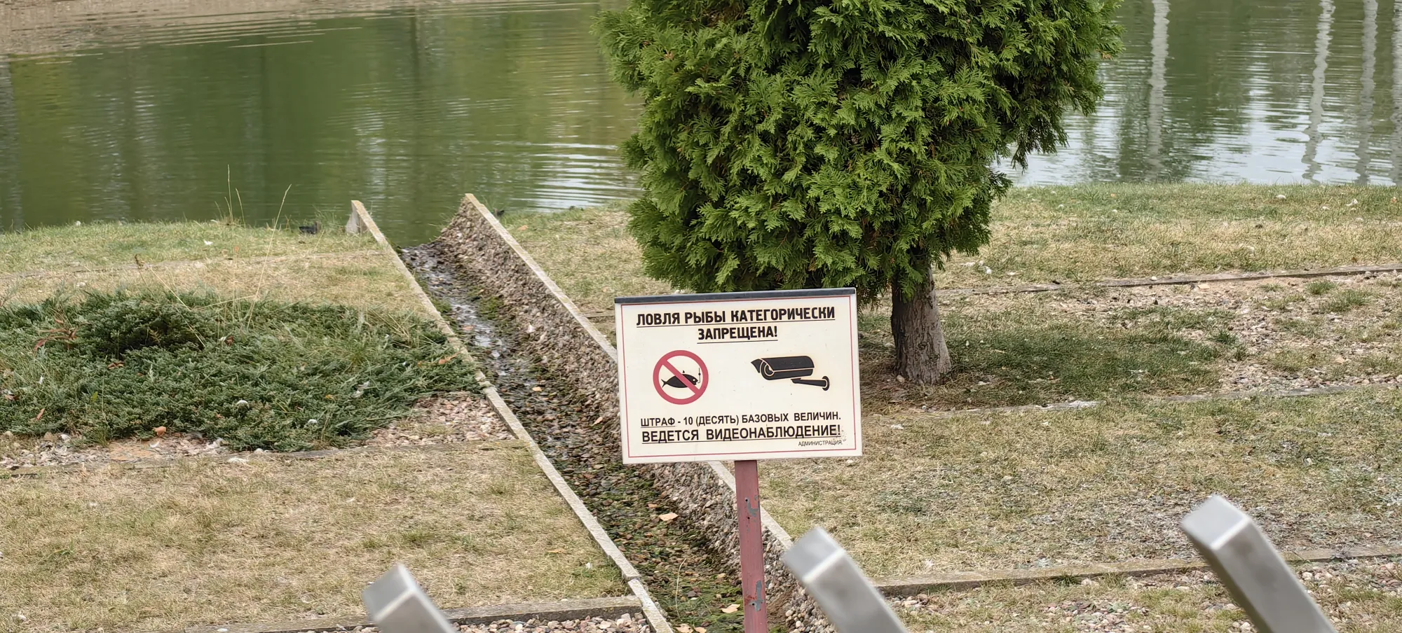 Увидели запреты на территории аквапарка