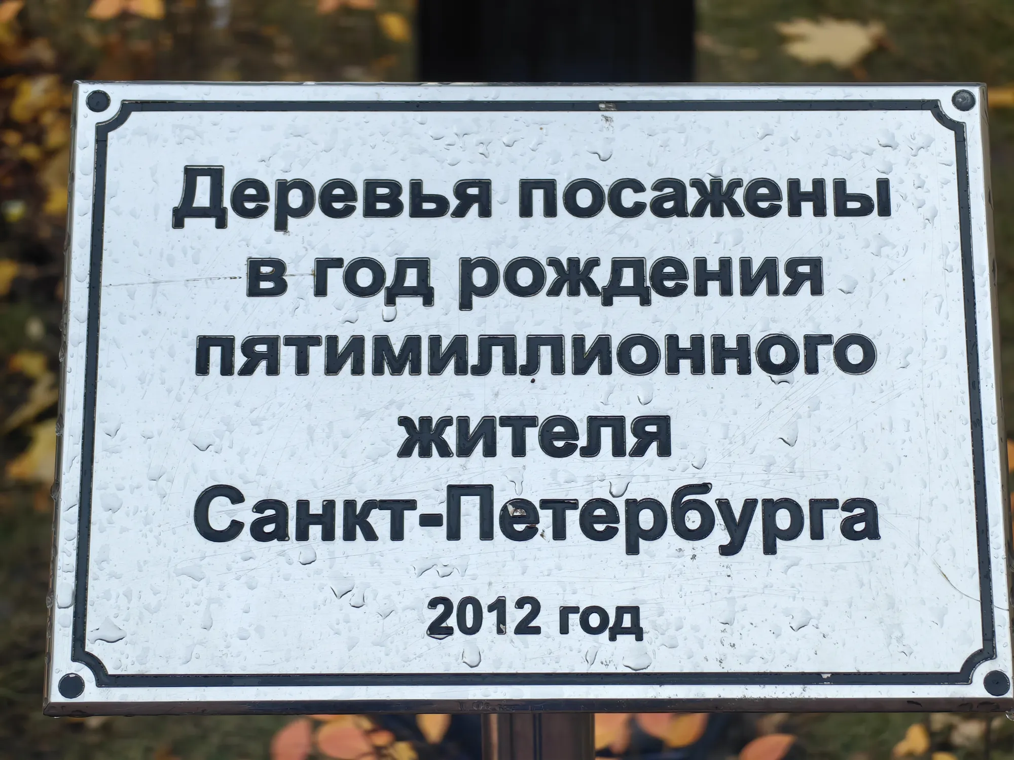 Заглянули в аллею в честь Люды Шарковой