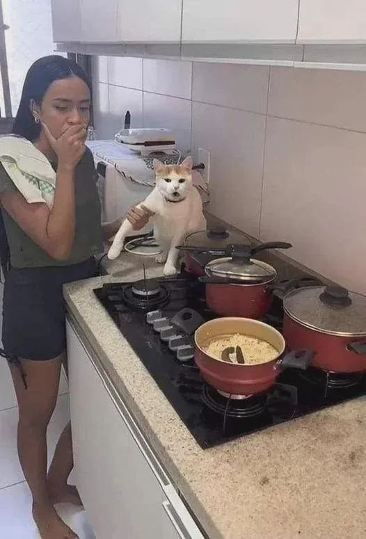 Не суп, конечно, но тоже с котом, в каком-то смысле...