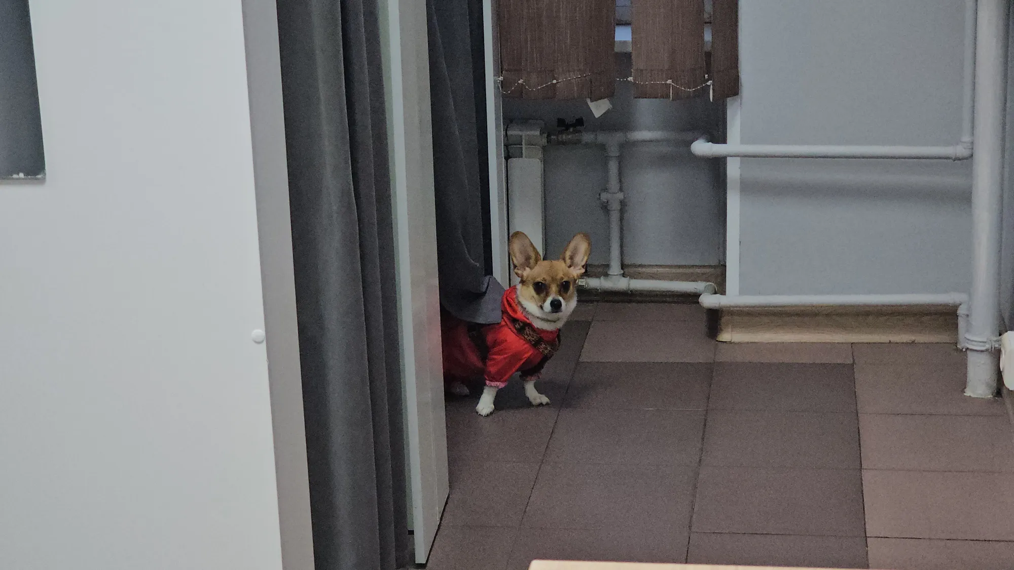 Хто это тут у нас?)))