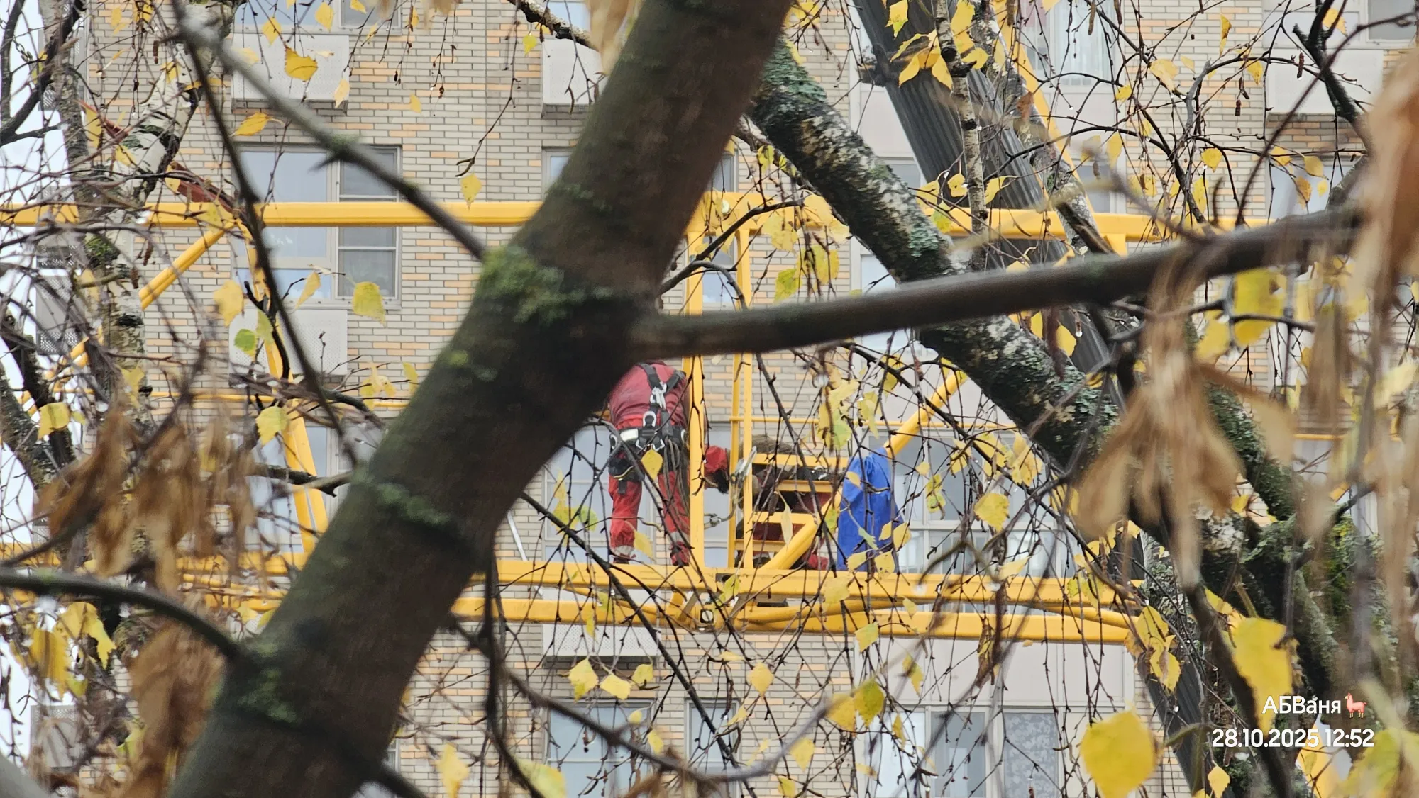 Доделывают штрихи, установив последнюю секцию башенного крана