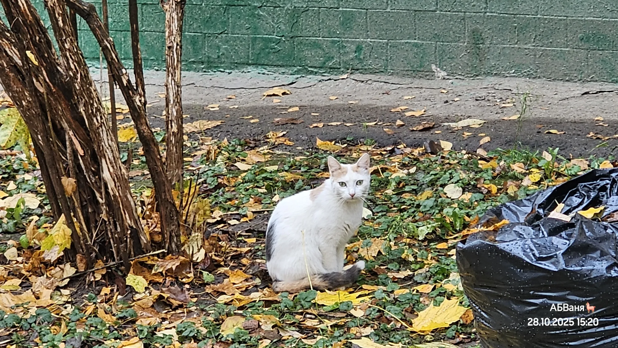 ...на те, красавчик.