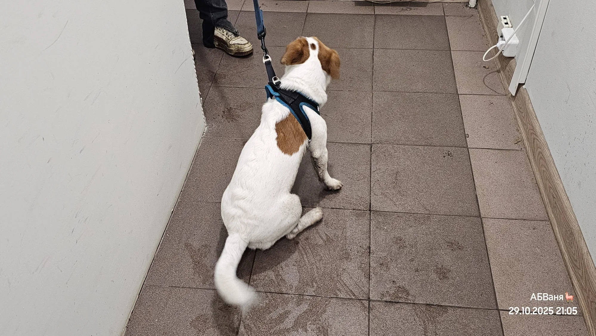 А ему всего лишь 8 месяцев