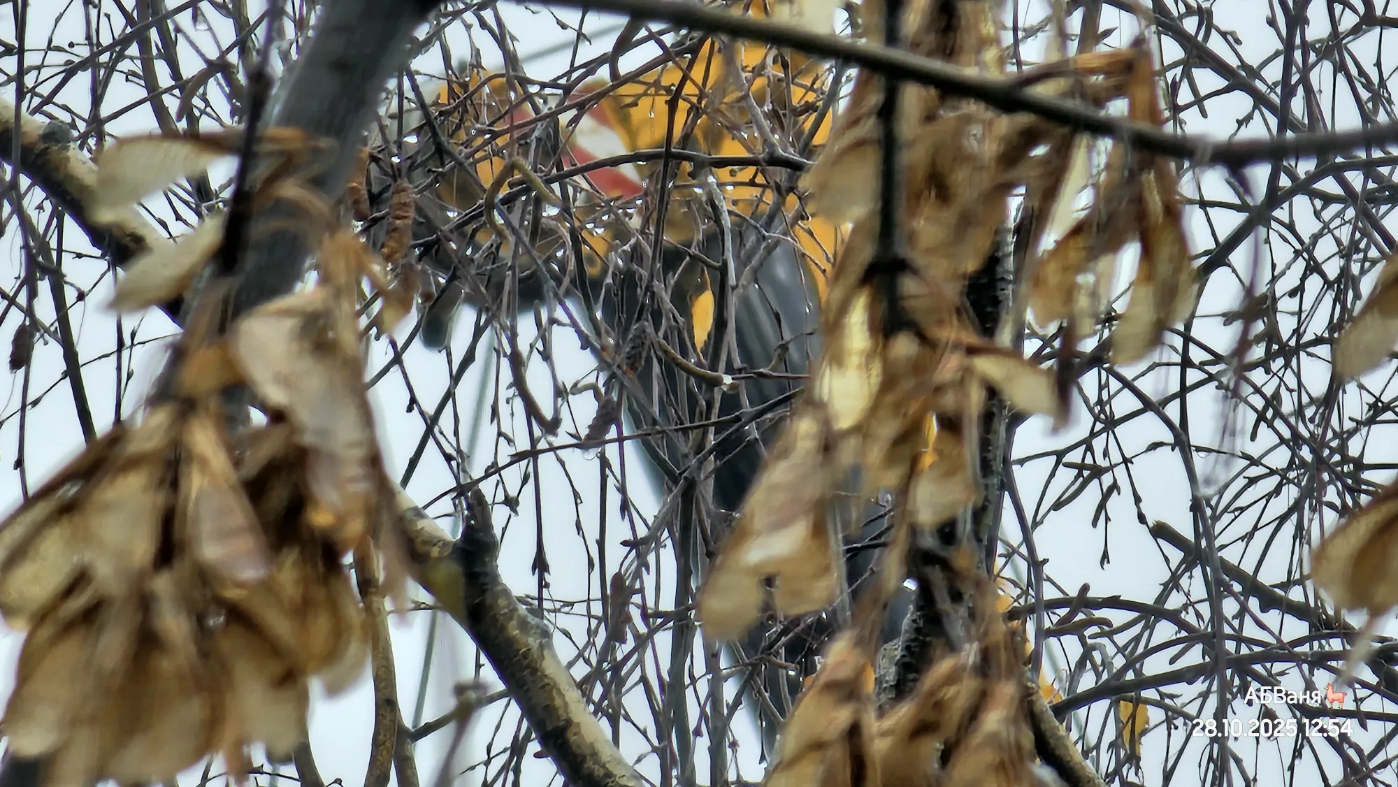 А конструкцию держит кран уже автомобильный