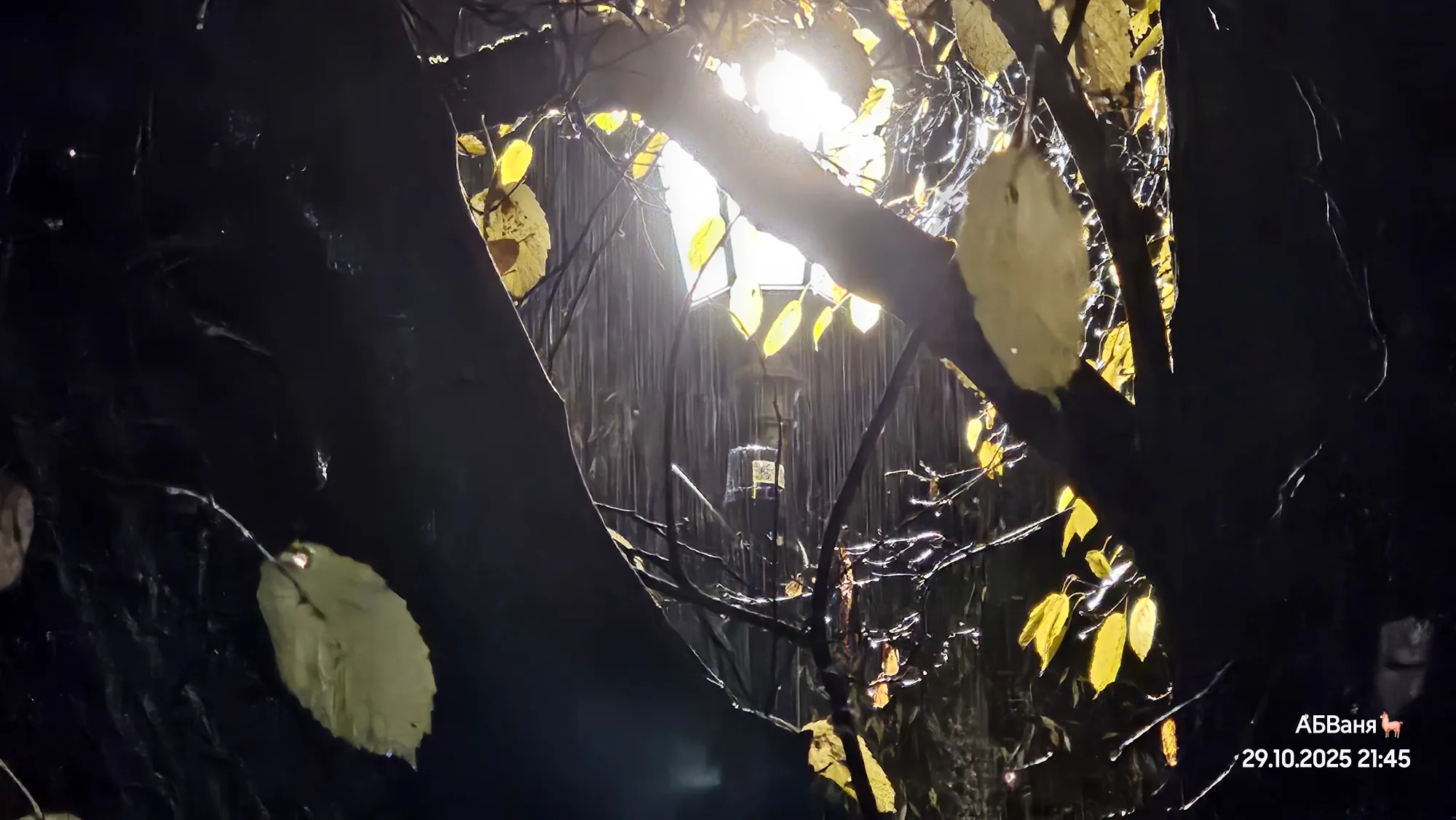 Кажется, опять дождь пошёл