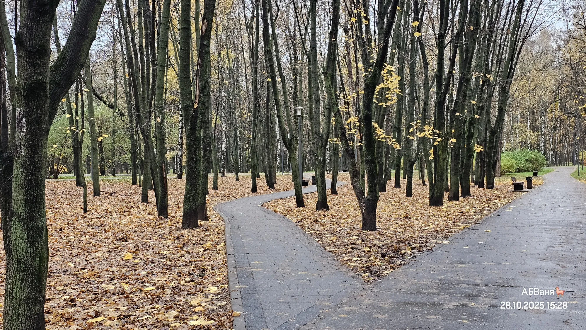 Парк Дружбы без золотой осени уже бледный