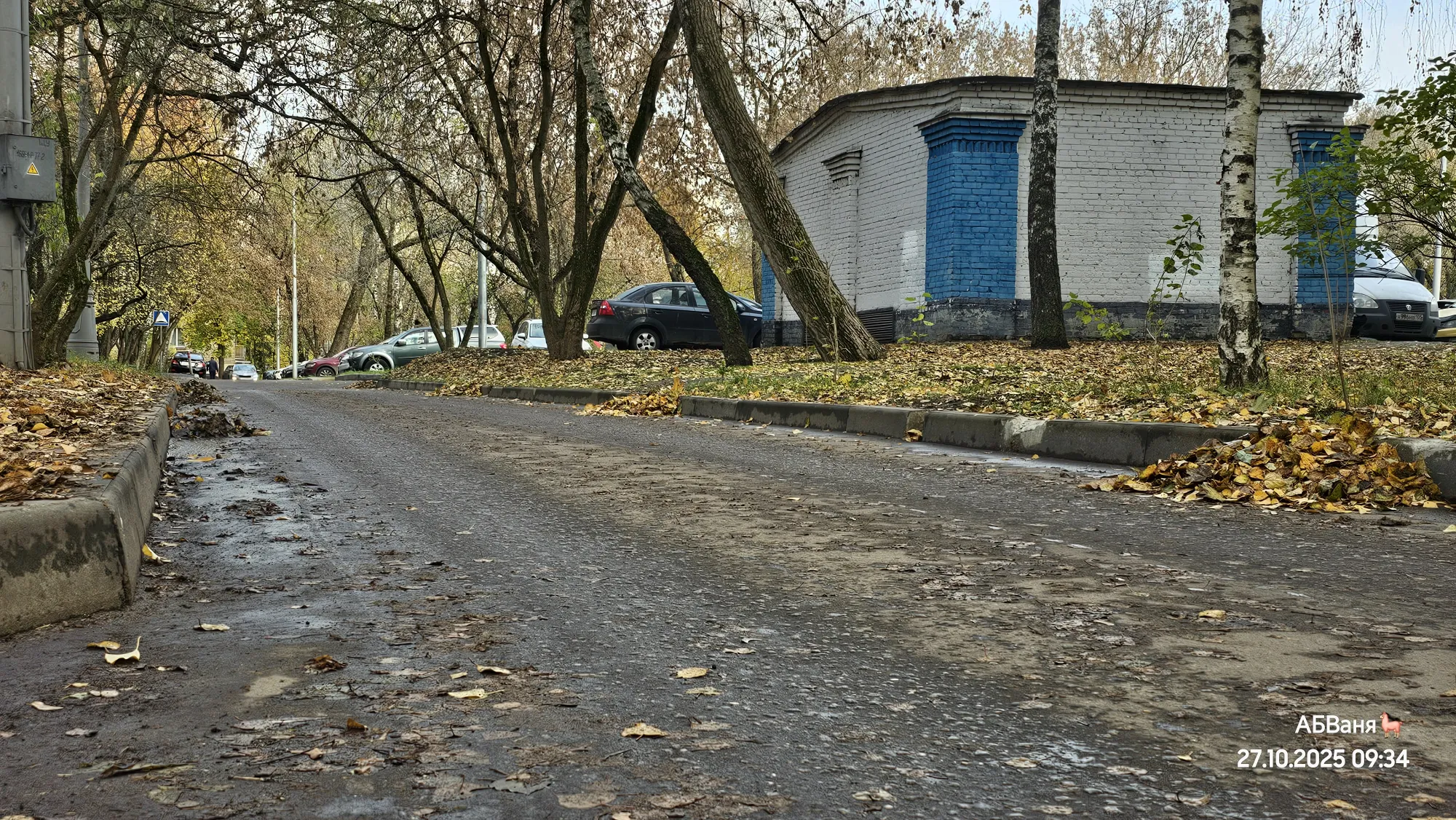 Как аккуратно убрали листья