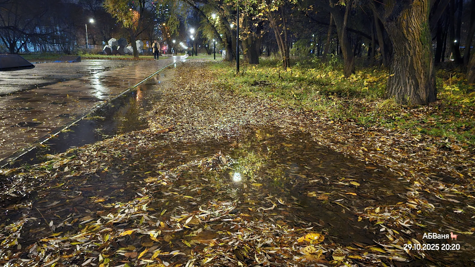 Такие лужи бывают только после сильного дождя...