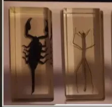 вот эти есть