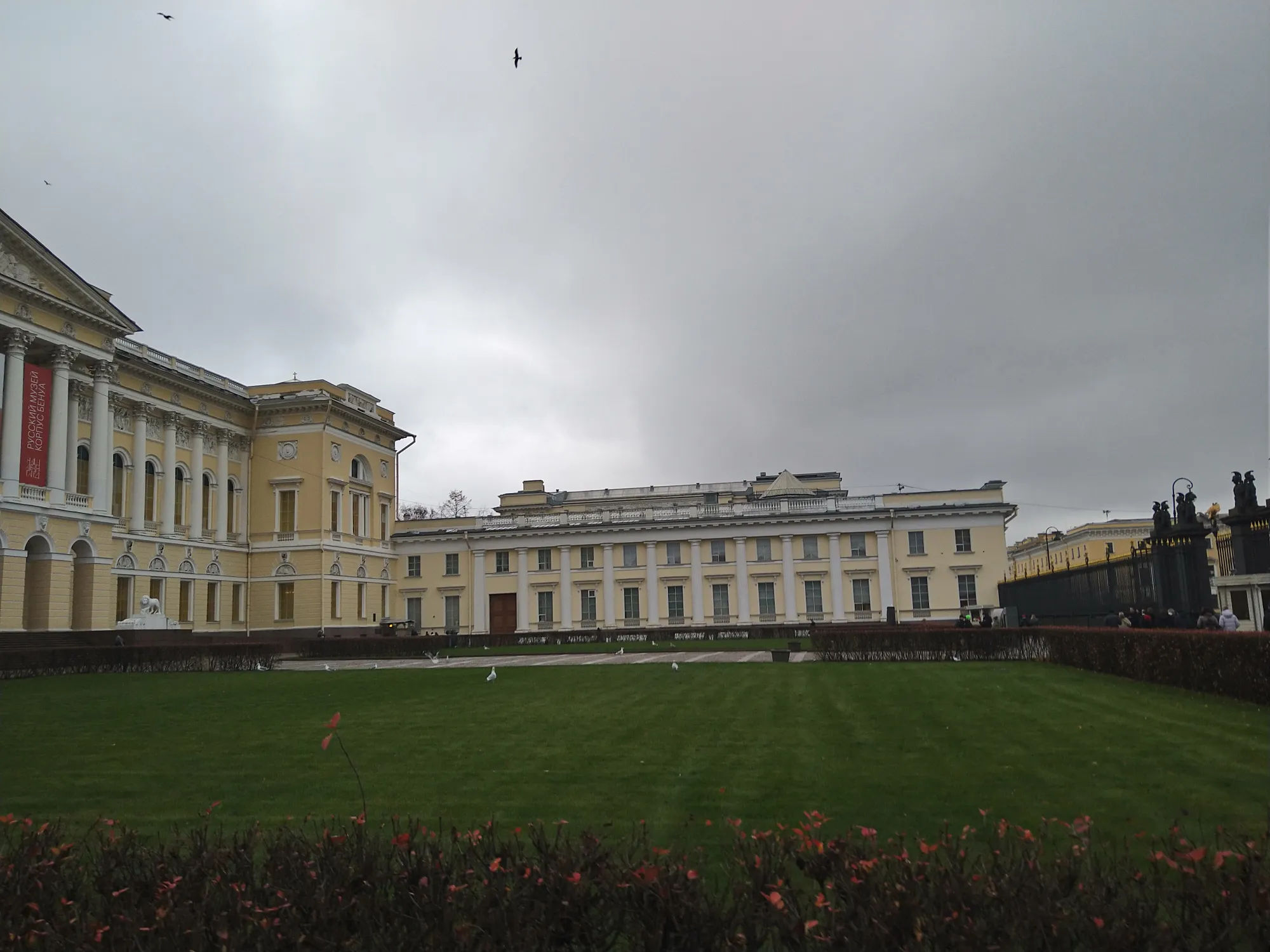 Чайки тянутся к культуре