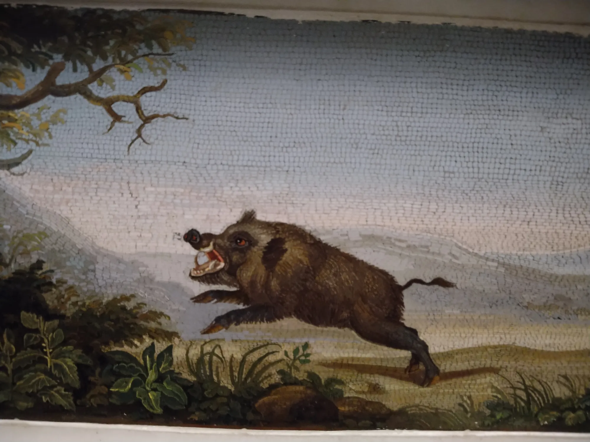 Кабанчик раз