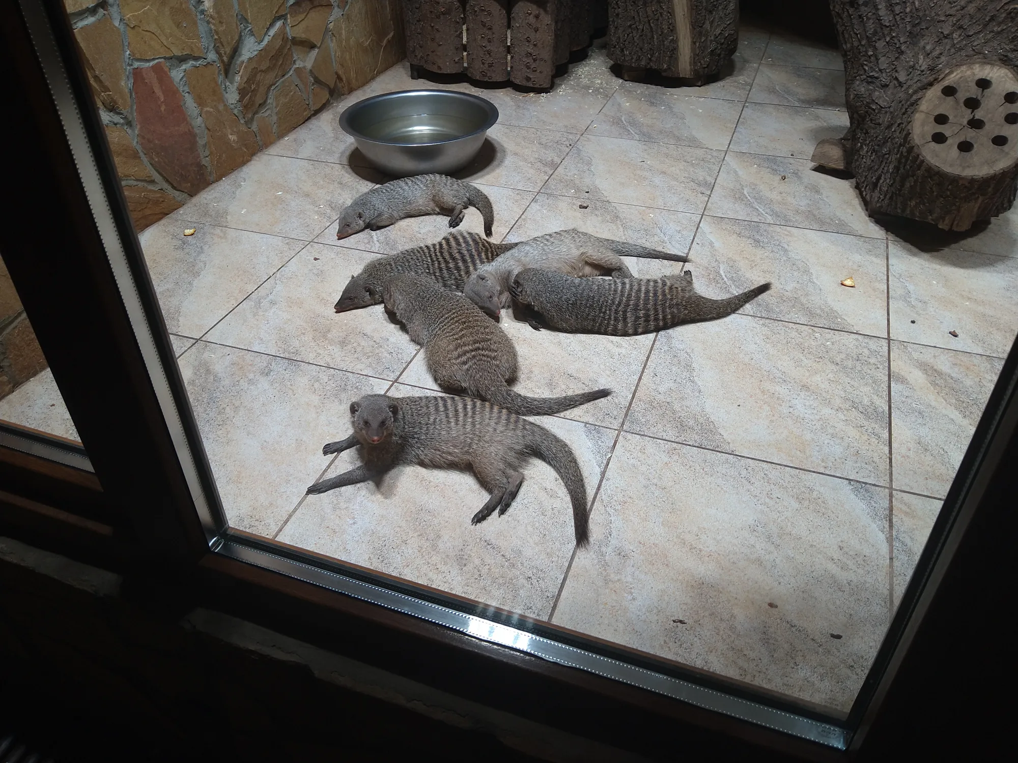 Пять, шесть!